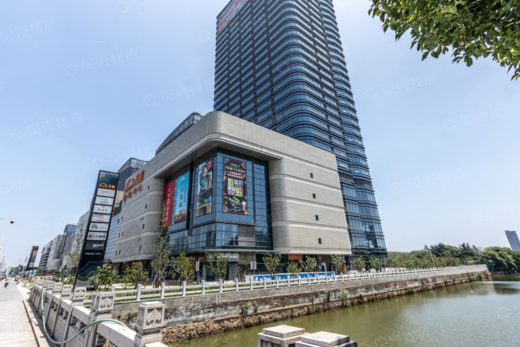 球速手机在线水管