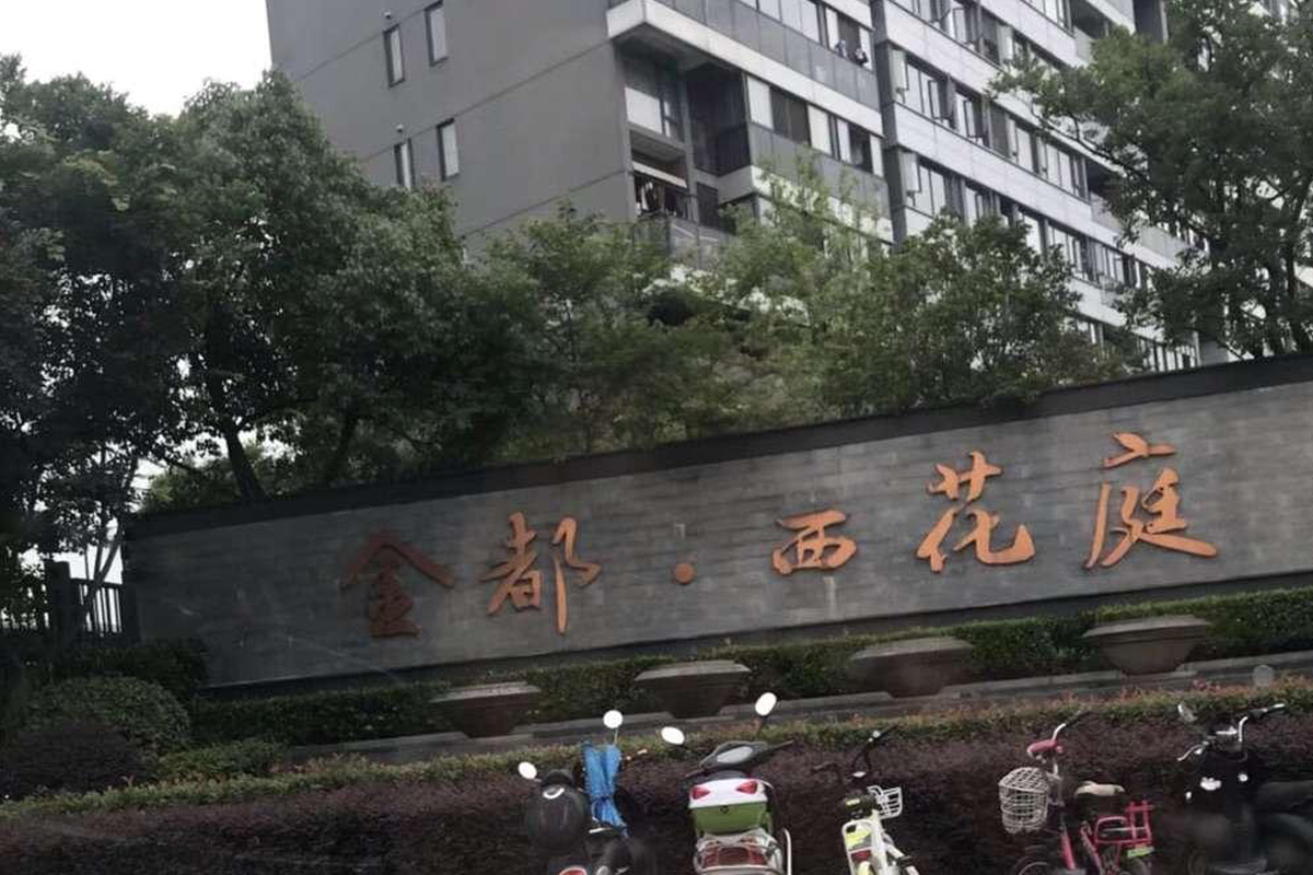 球速手机在线水管