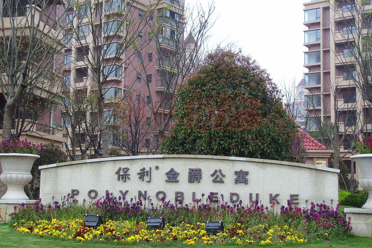 球速手机在线水管