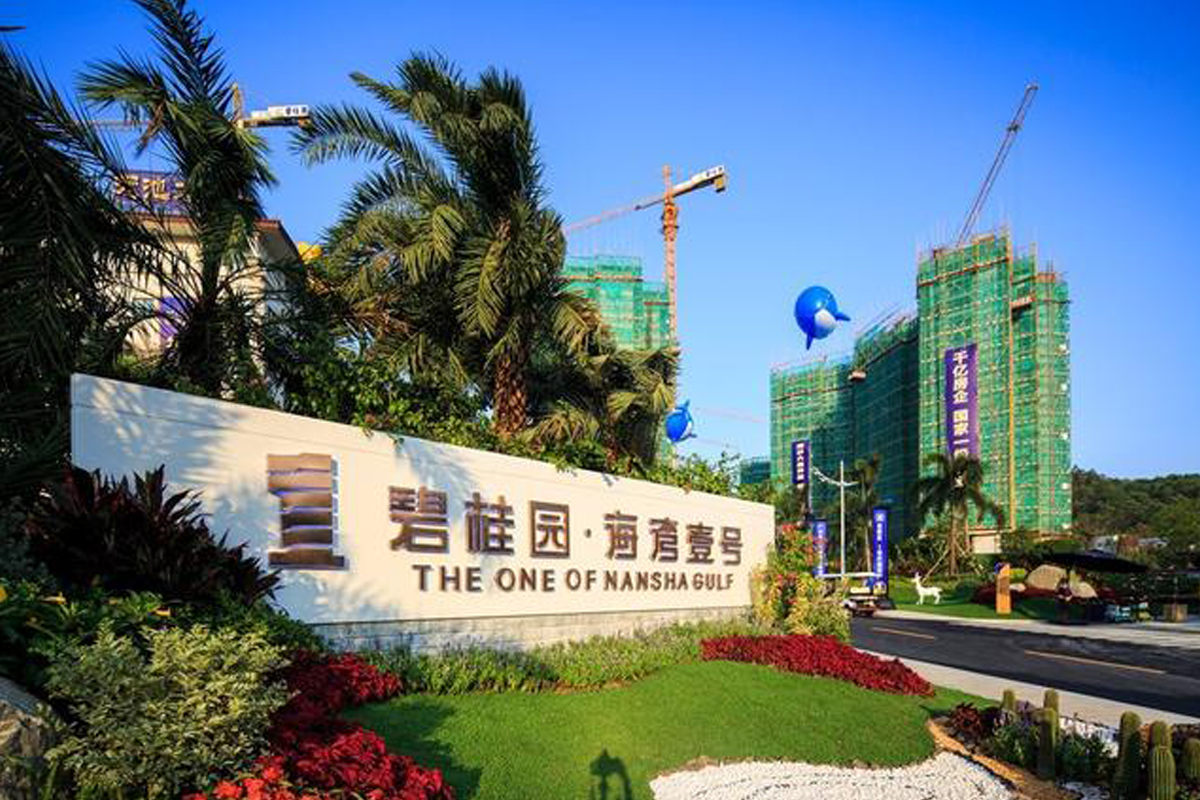 球速手机在线水管