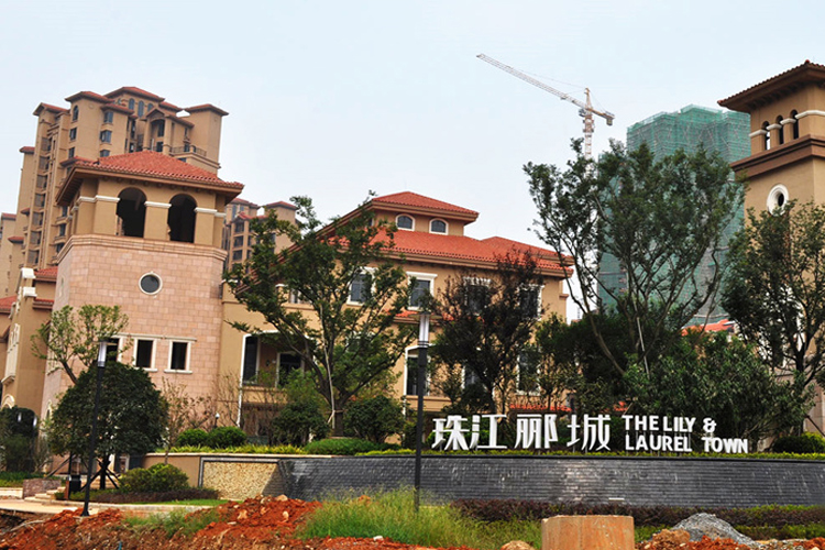 球速手机在线水管