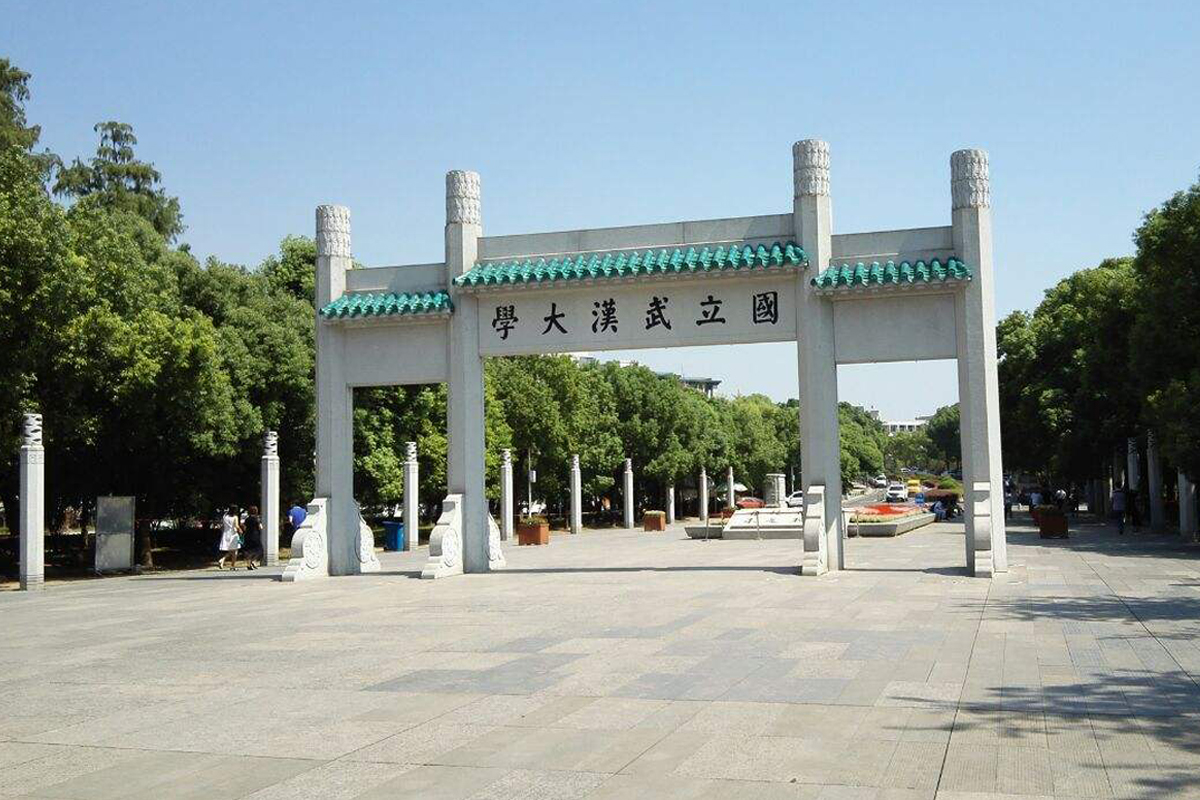 球速手机在线水管