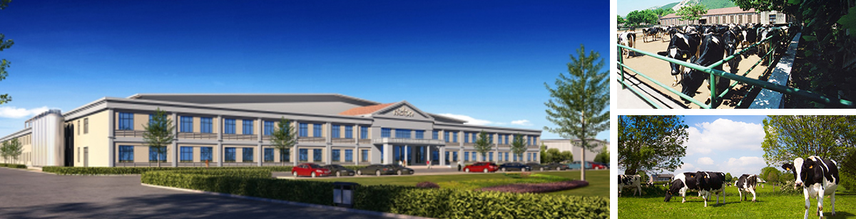 厂房.jpg 厂房.jpg