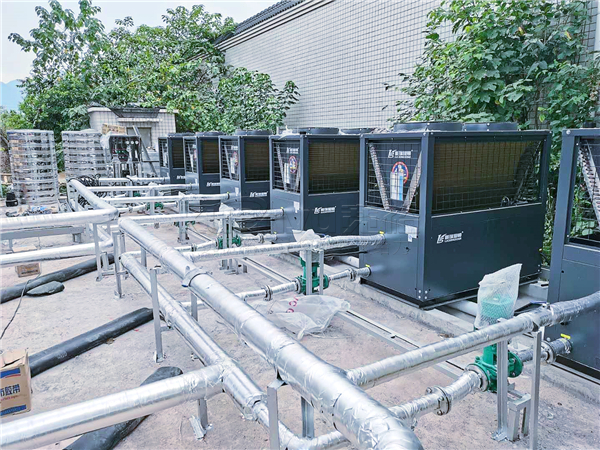 球速手机在线管